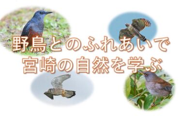 公開講座『野鳥とのふれあいで宮崎の自然を学ぶ』の開催について