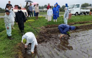 「チャレンジ農園」で田植え体験を実施しました