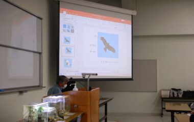 野鳥とのふれあいで宮崎の自然を学ぶ – 地域連携公開講座を開催（1日目）