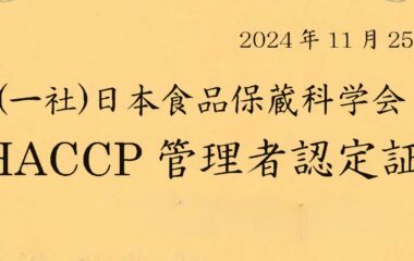 学生の資格取得状況【2024年度】